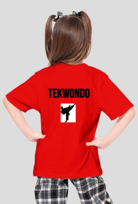 TEAKWONDO MASTER