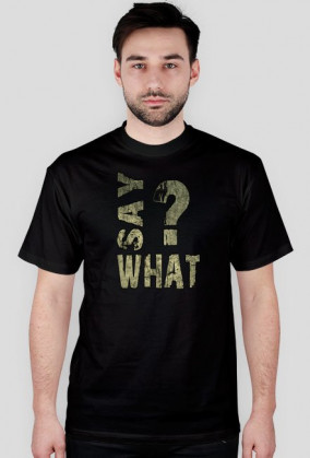 SAY WHAT?