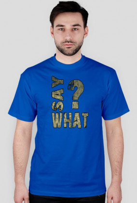 SAY WHAT?