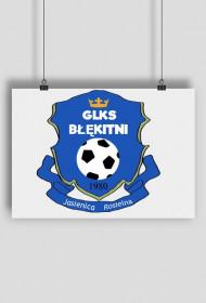 PLAKAT z Herbem BŁEKINYCH