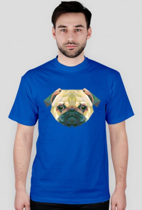 Triangle Dog