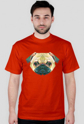 Triangle Dog