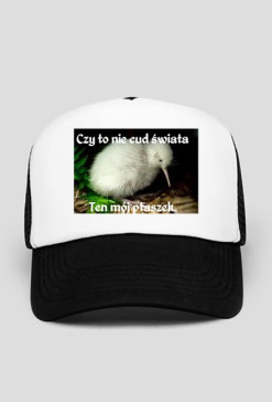 Czapka