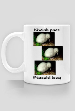 Ptaszki lecą