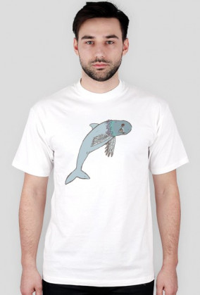 gołębio-delfin