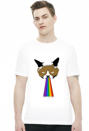 GRUMPY CAT RZYGAM TĘCZĄ