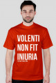 Volenti czerwona