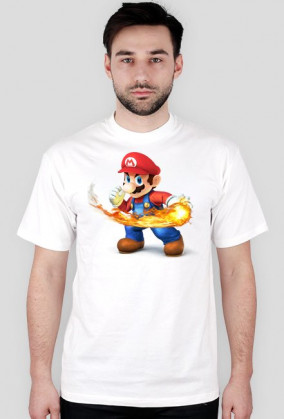 Mario v2