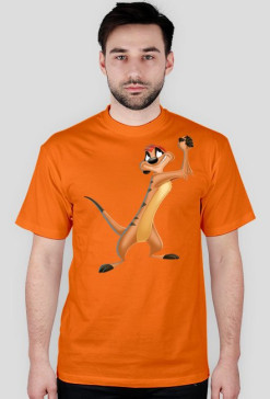Timon