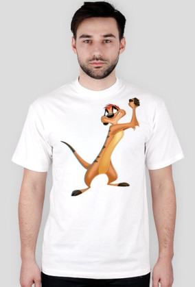 Timon
