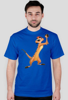 Timon