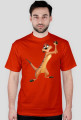 Timon