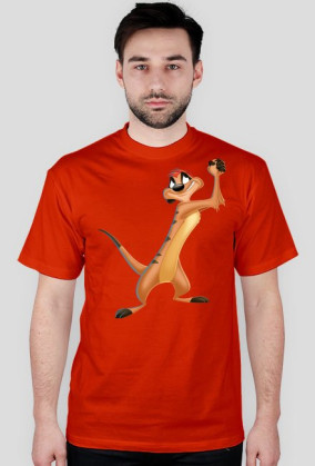Timon