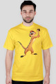 Timon