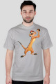 Timon