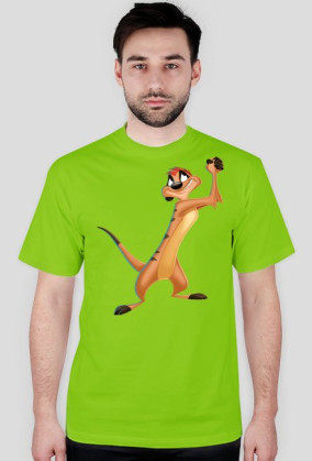 Timon