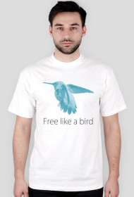 Free like a bird - MAN