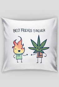Poduszka best friends