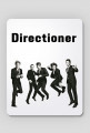 Directioner
