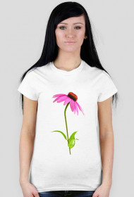Echinacea2