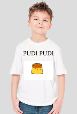 T-shirt PUDI PUDI chłopięcy