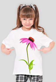 Echinacea2