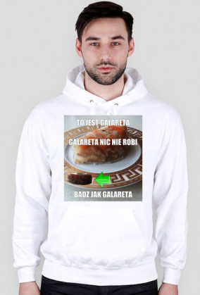 Bluza mem GALARETA męska