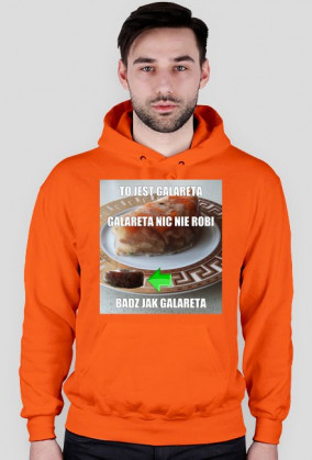 Bluza mem GALARETA męska