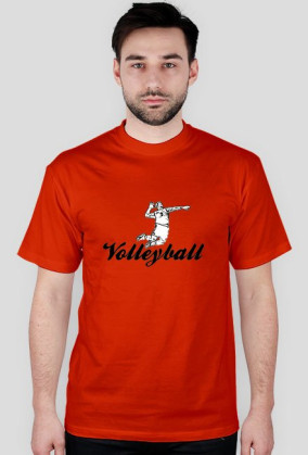 Volleyball