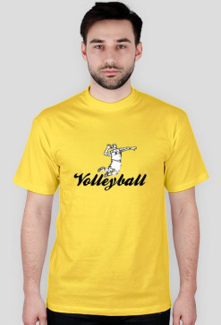 Volleyball