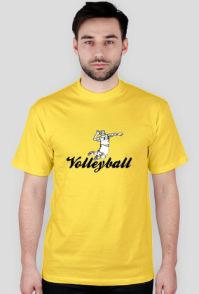 Volleyball
