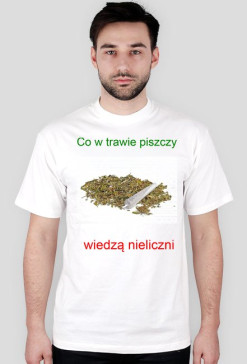Co w trawie piszczy CS brand