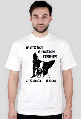 Koszulka - Boston