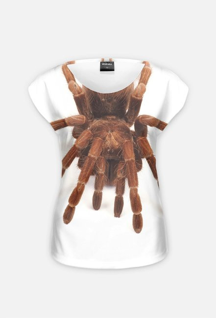 SPIDER 01W