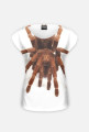 SPIDER 01W