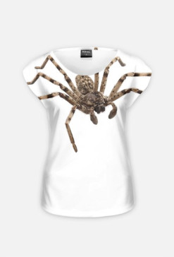 SPIDER 02W