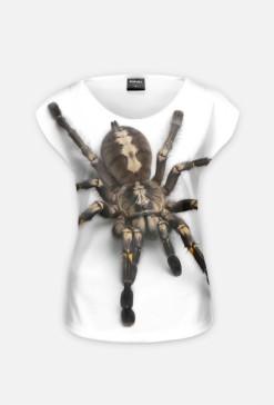 SPIDER 03W