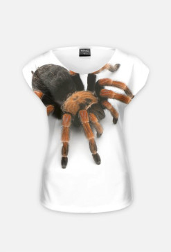 SPIDER 04W