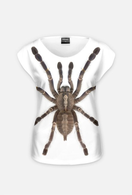 SPIDER 05W