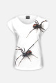 SPIDER 06W