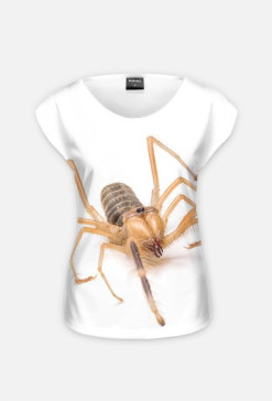 SPIDER 07W