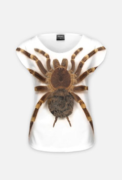 SPIDER 08W