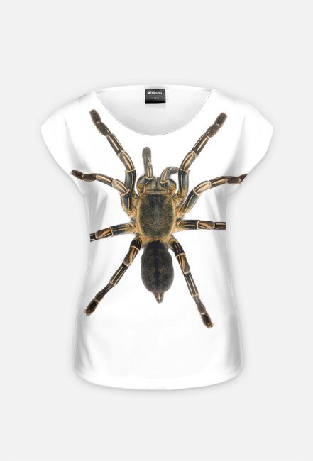 SPIDER 11W