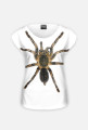SPIDER 11W