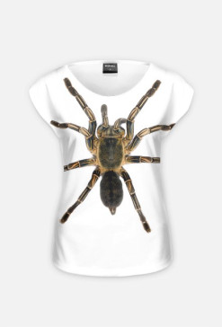 SPIDER 11W