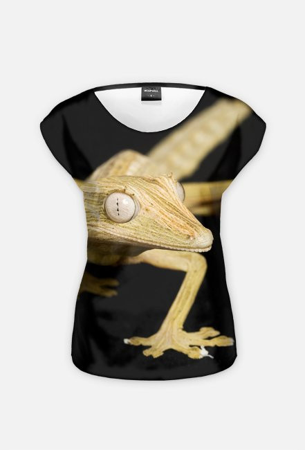 GECKO 01W