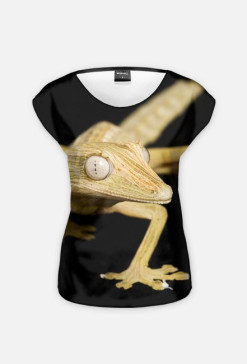 GECKO 01W