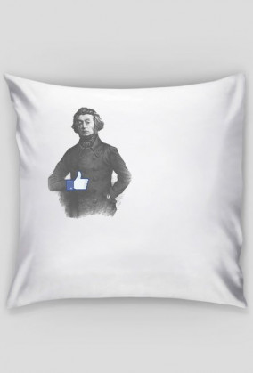 Wieszcz lubi to poduszka