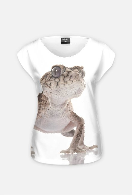 GECKO 02W