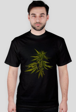 Koszulka Hemp
